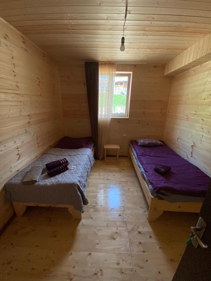 Guest House Caucasioni Adishi المظهر الخارجي الصورة