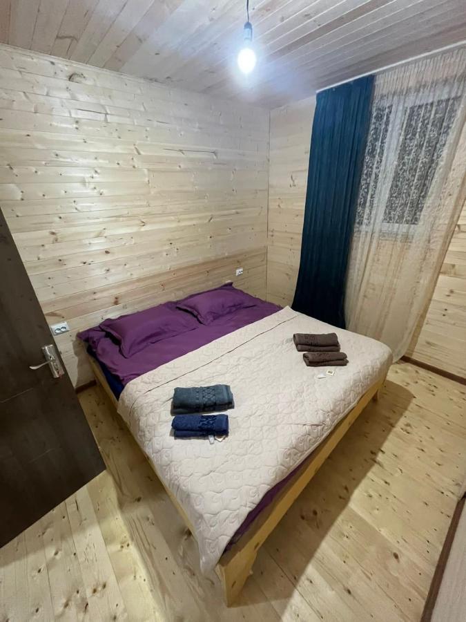 Guest House Caucasioni Adishi المظهر الخارجي الصورة