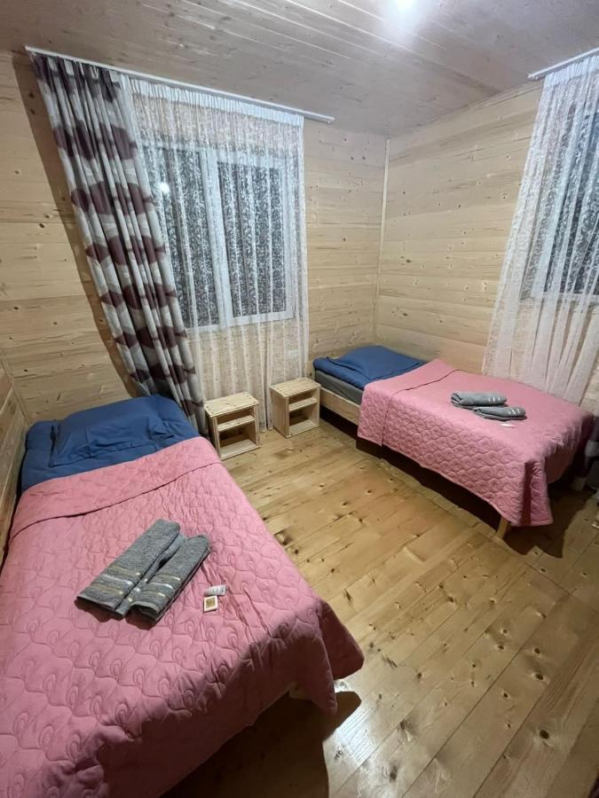 Guest House Caucasioni Adishi المظهر الخارجي الصورة