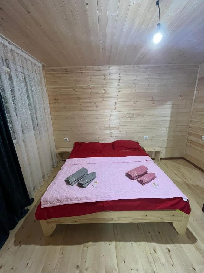 Guest House Caucasioni Adishi المظهر الخارجي الصورة