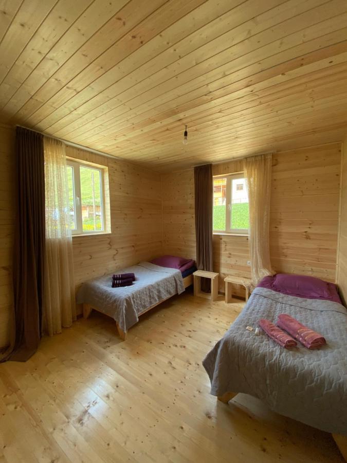 Guest House Caucasioni Adishi المظهر الخارجي الصورة